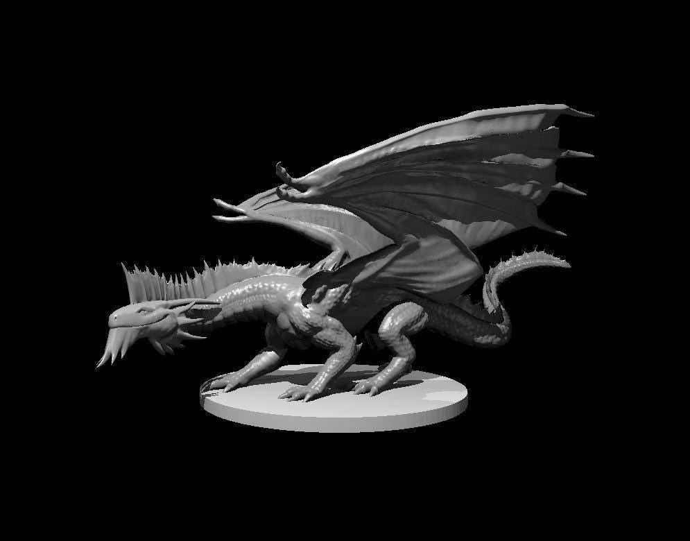 Silver Dragon Wyrmling Young Adult Ancient miniature by MZ4250