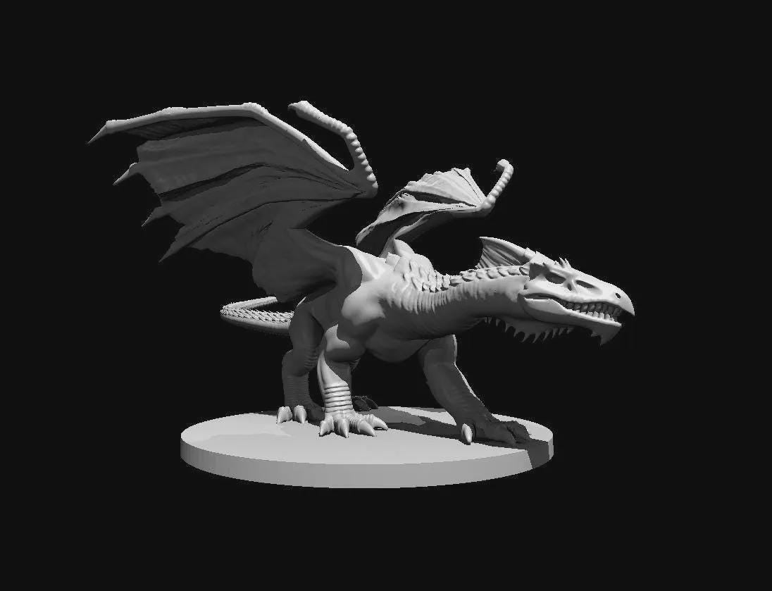 White Dragon Ancient Adult Young Wyrmling miniature by MZ4250