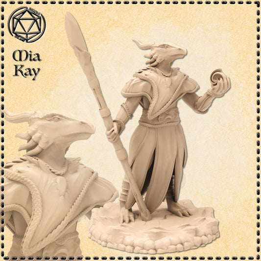 Dragonborn Sorceress miniature by M3DM