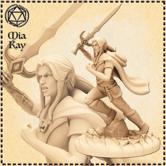 Elf Fallen Paladin miniature by M3DM