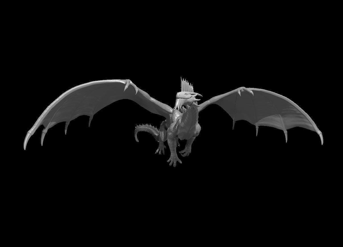 Silver Dragon Wyrmling Young Adult Ancient miniature by MZ4250