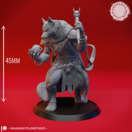 Coyote Necromancer miniature by Yasashii Kyojin Studio