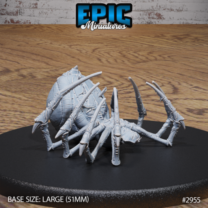 Giant Dungeon Spider by Epic Miniatures
