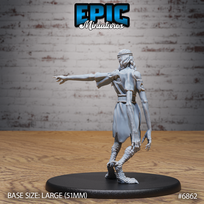 Norse Volva by Epic Miniatures