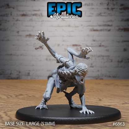 Norse Volva by Epic Miniatures