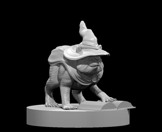 Jimothy’s Racoon Adventures miniature by MZ4250 (Wizard, Fighter, Cleric, Rogue, Normal)