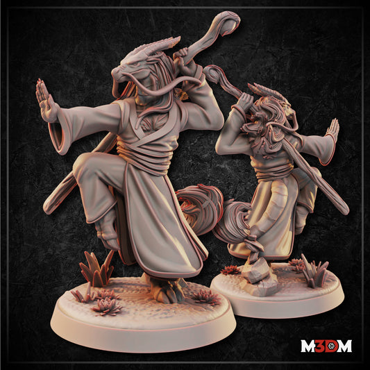 Chinese Dragonborn Monk by M3DM