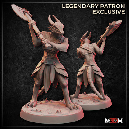Female Dragonborn Barbarian Miniature by M3DM
