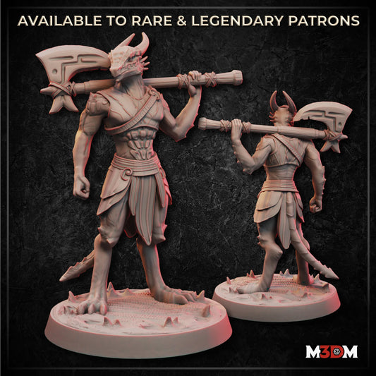 Female Dragonborn Barbarian Miniature by M3DM