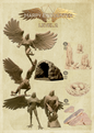 Harpy Encounter