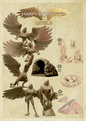 Harpy Encounter