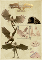 Harpy Encounter