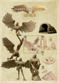 Harpy Encounter