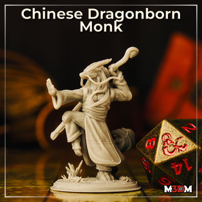 Chinese Dragonborn Monk by M3DM