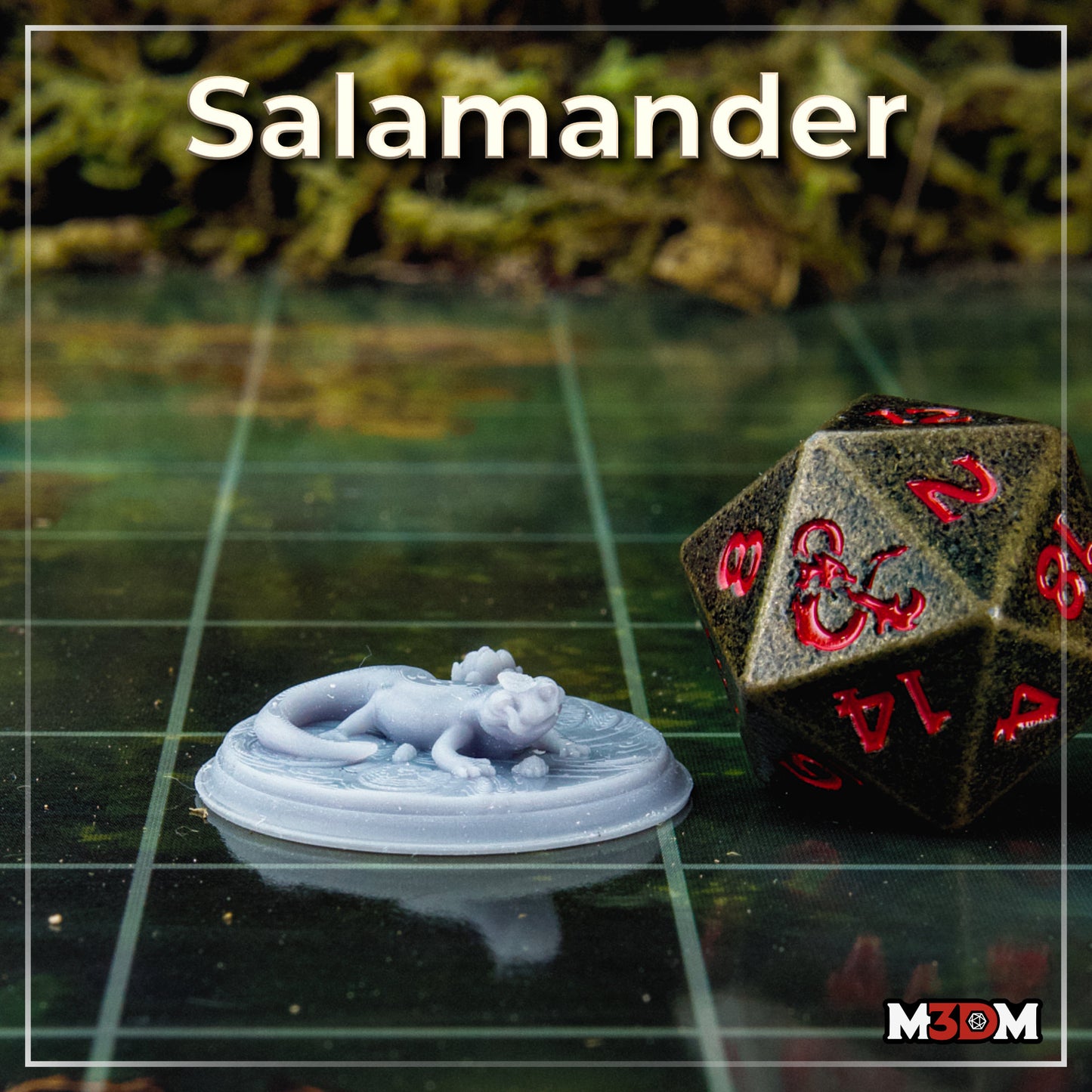 Salamander by M3DM