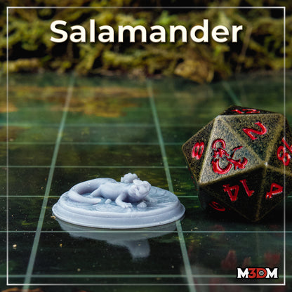 Salamander by M3DM