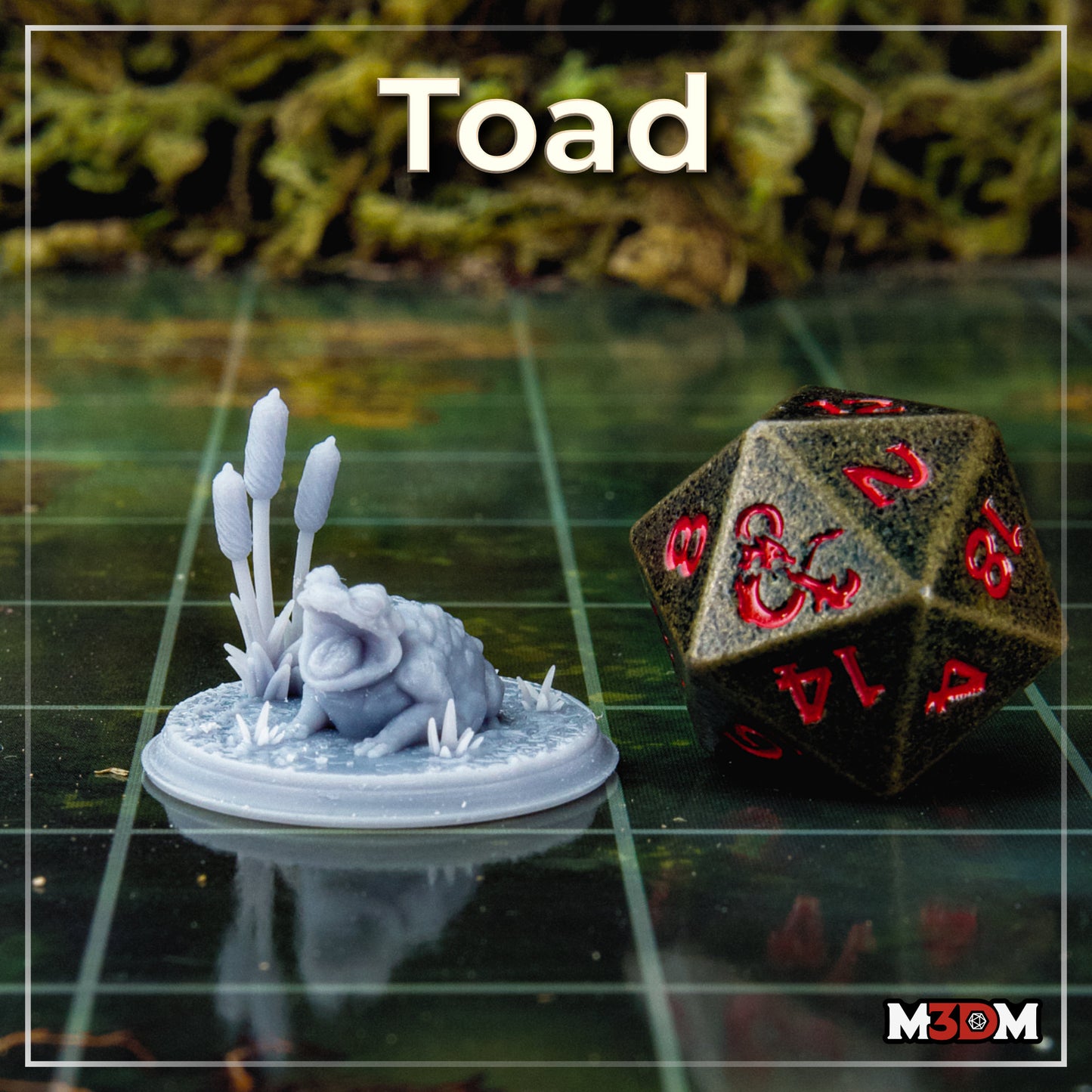 Toad by M3DM