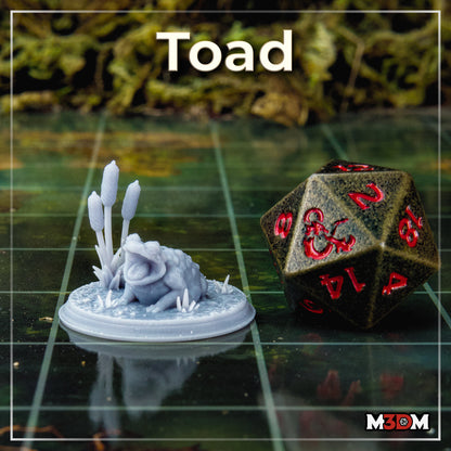 Toad by M3DM