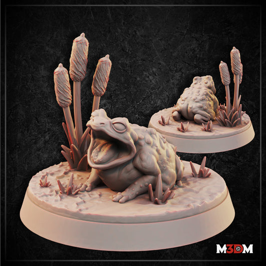 Toad by M3DM