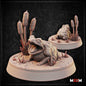 Toad by M3DM