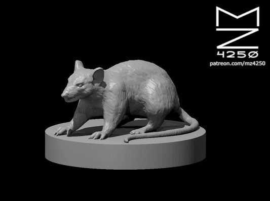 Giant Rat miniature by MZ4250
