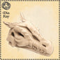 Dragon Skull miniature by M3DM