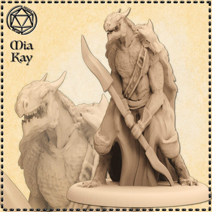 Dragonborn miniature by M3DM