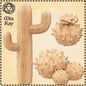 Cactus Set of 3 miniature by M3DM