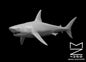 Hunter Shark miniature by MZ4250