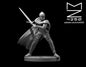 Knight Female miniature by MZ4250