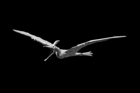 Pteranodon miniature by MZ4250