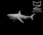 Reef Shark miniature by MZ4250