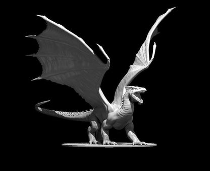 White Dragon Ancient Adult Young Wyrmling miniature by MZ4250