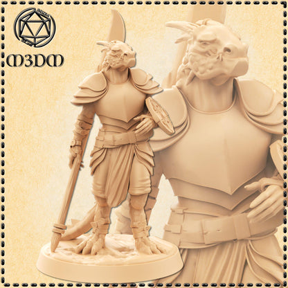 Dragonborn Cleric miniature by M3DM