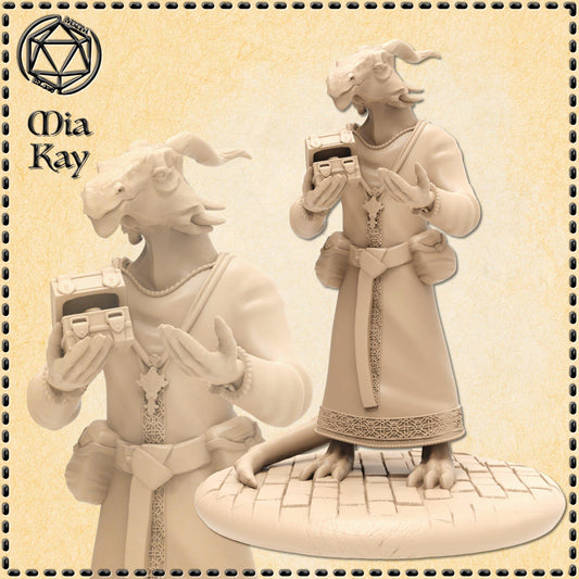 Dragonborn Tax Collector miniature by M3DM