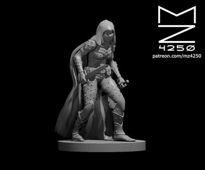 Assassin Female miniature by MZ4250
