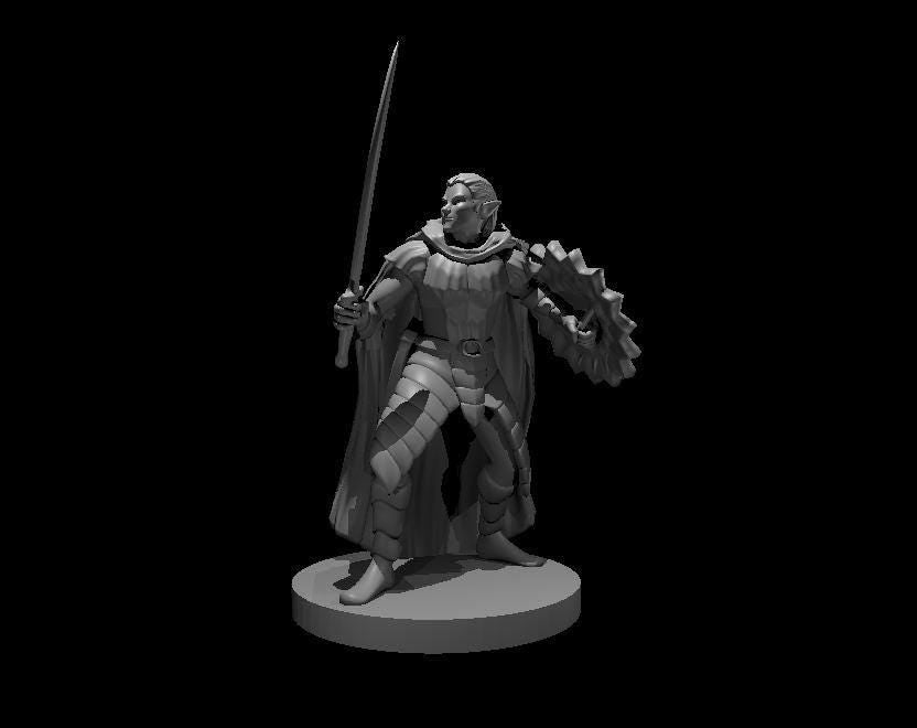 Drow Elite Warrior miniature by MZ4250