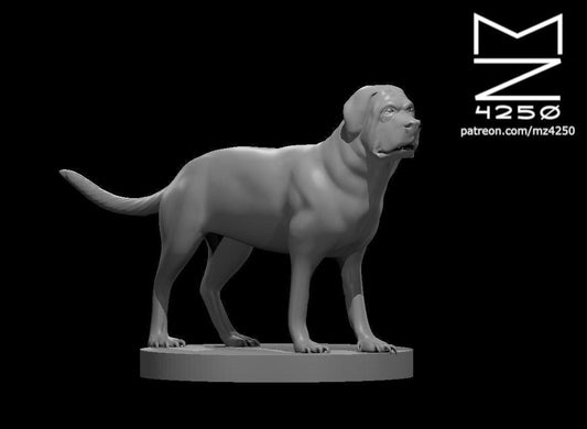 Mastiff miniature by MZ4250
