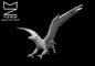 Hippogriff miniature by MZ4250