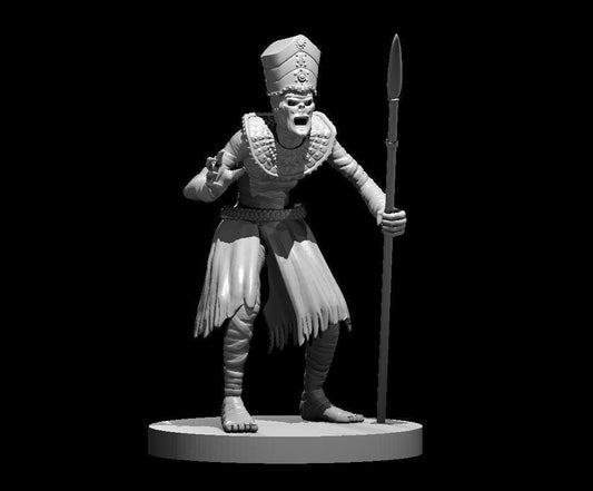 Mummy Lord miniature by MZ4250