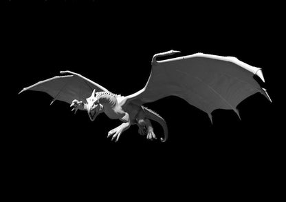 White Dragon Ancient Adult Young Wyrmling miniature by MZ4250