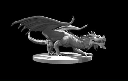 Red Dragon Ancient Adult Young Wyrmling miniature by MZ4250