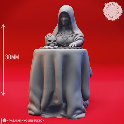 Fortune Teller miniature by Yasashii Kyojin Studio